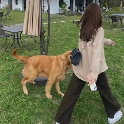 神枪女侠